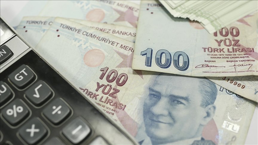 Dezenflasyon Döneminde Maliye Ve Para Politikasının Uyum Süreci