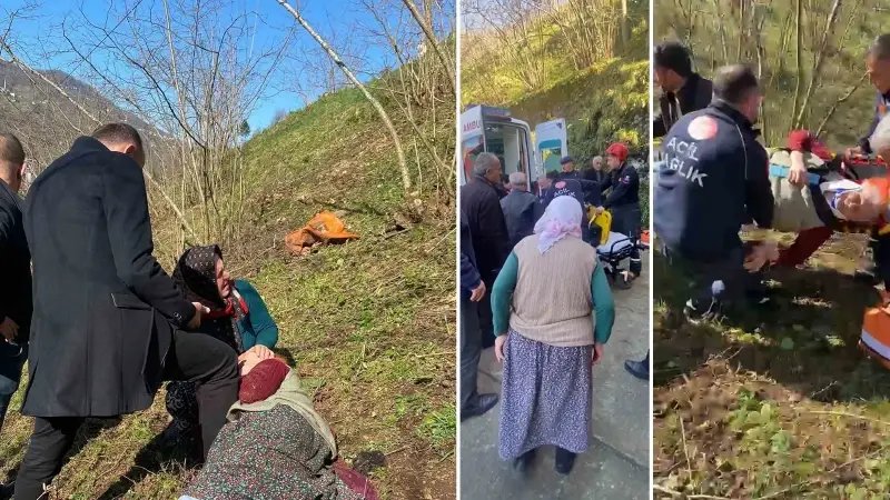Yaşlı Kadın Fındık Bahçesine Düştü: Cenaze Yolunda Hayat Kurtarıldı