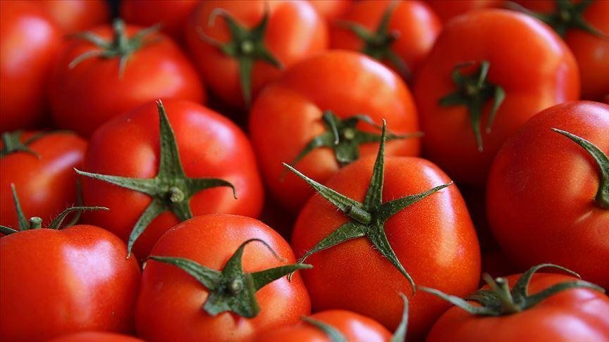 Domatesi Asla Bu Şekilde Tüketmeyin! Zehirli Bir Tehlike Oluşuyor