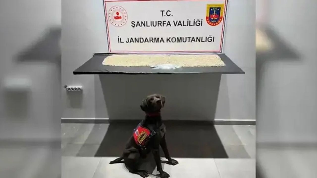 Şanlıurfa’da Ev Baskını, Tuvalette Binlerce Uyuşturucu Hap Bulundu