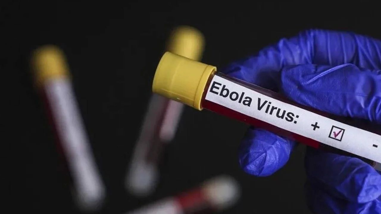 Kongo’da Ebola Alarmı: 10 Bini Aşkın Vaka, 4 Bin 887 Ölüm