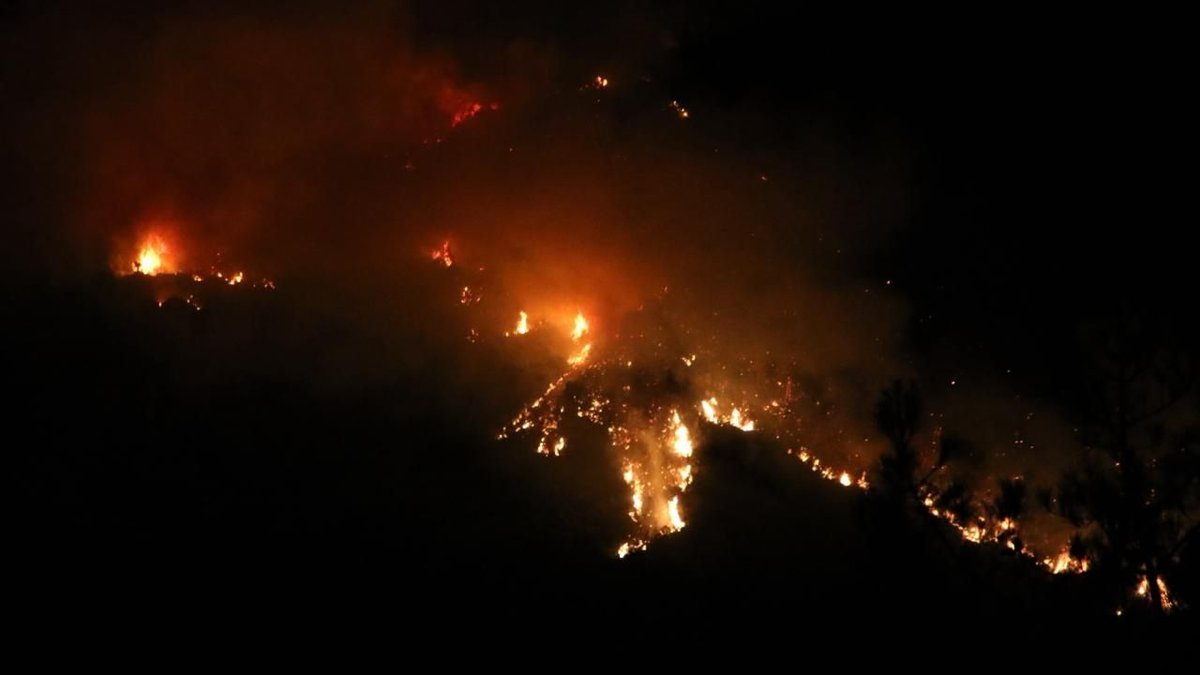 WMO’dan Kritik Uyarı: Orman Yangınları Ve Sıcak Hava Dalgaları Hava Kalitesini Tehdit Ediyor