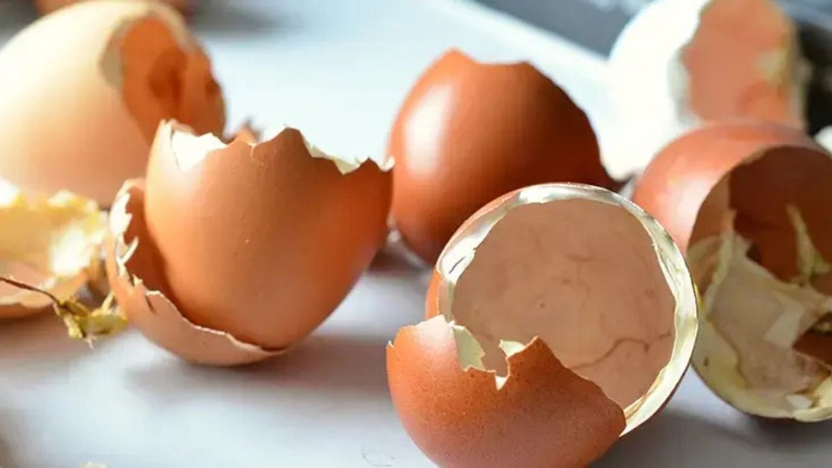 Haşlanmış Yumurta Nasıl Saklanmalı? Buzdolabında 7 Güne Kadar Tüketilebiliyor